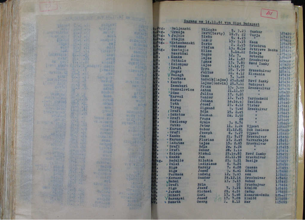 The registration book of the Dachau prisoners, including the names of József Dráfi and the Hungarian Roma who arrived with him on 14 November 1944 (ITS, Arolsen Archives)
